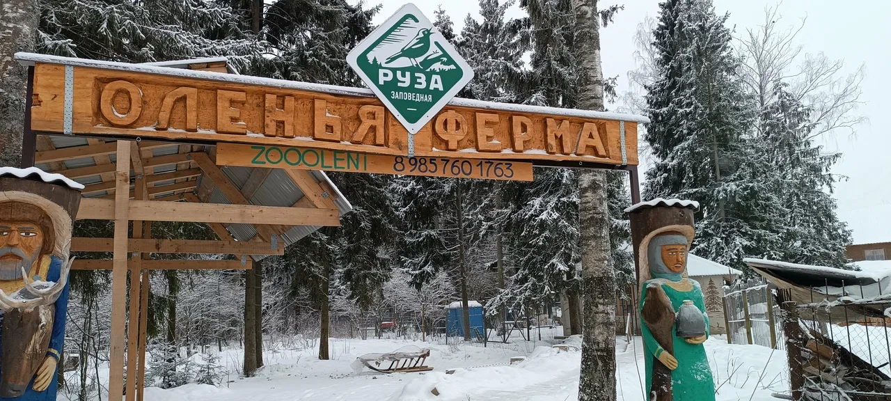 Фото Оленья ферма "ZooOleni" - развлечение в Москве | Досугатор